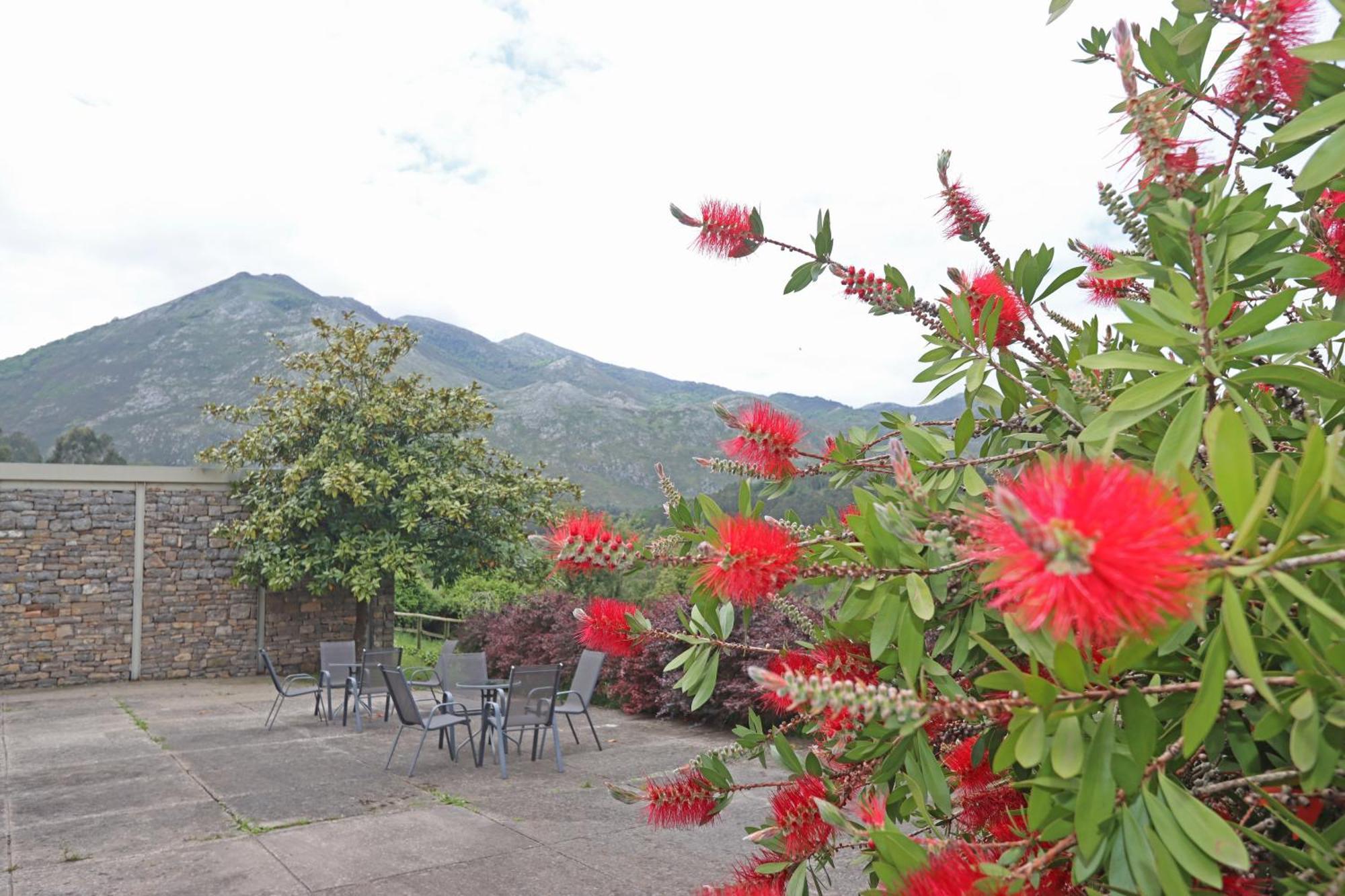 Hotel El Babu Caravia Luaran gambar