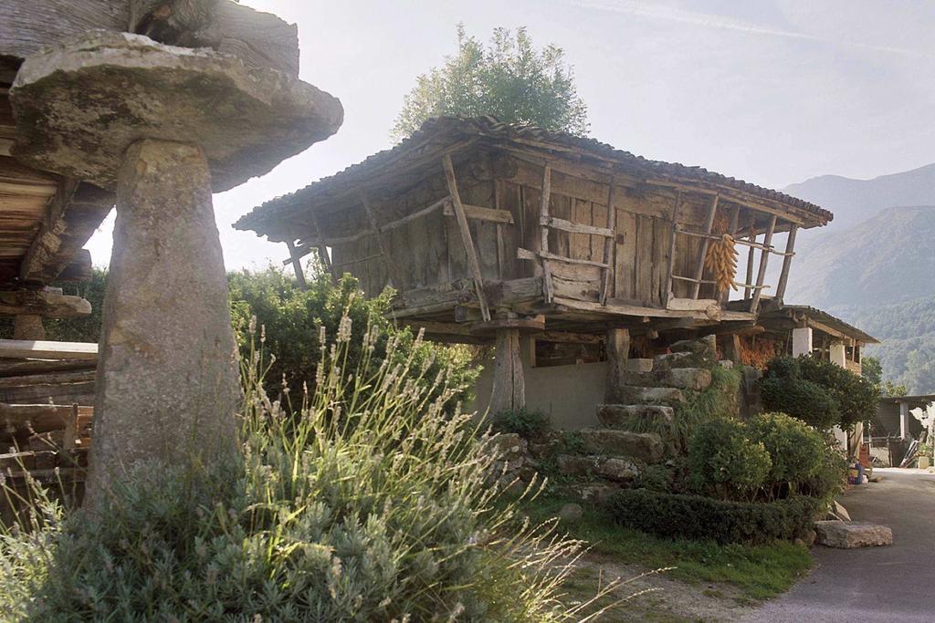 Hotel El Babu Caravia Luaran gambar